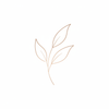 Fórmula Natural icon